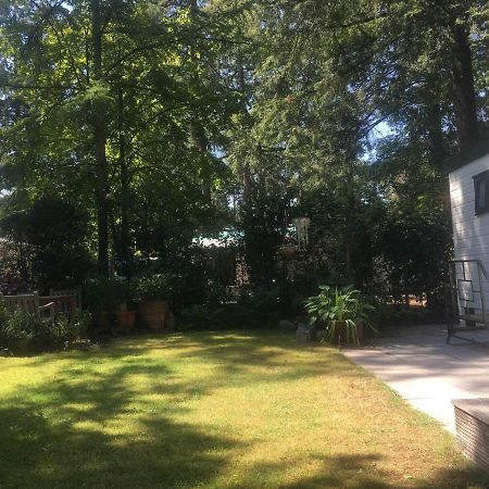 Sfeervol Vakantiehuisje In Bosrijke Omgeving Vorden Esterno foto