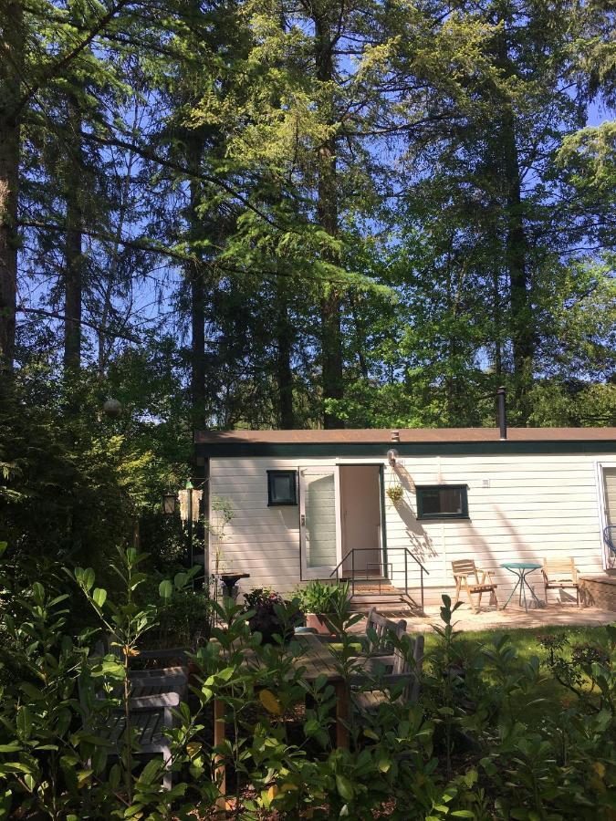Sfeervol Vakantiehuisje In Bosrijke Omgeving Vorden Esterno foto